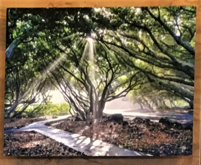 Extreme Exposure Fine Art Gallery-希洛必去景点