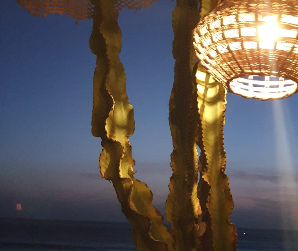 World of Waves主图