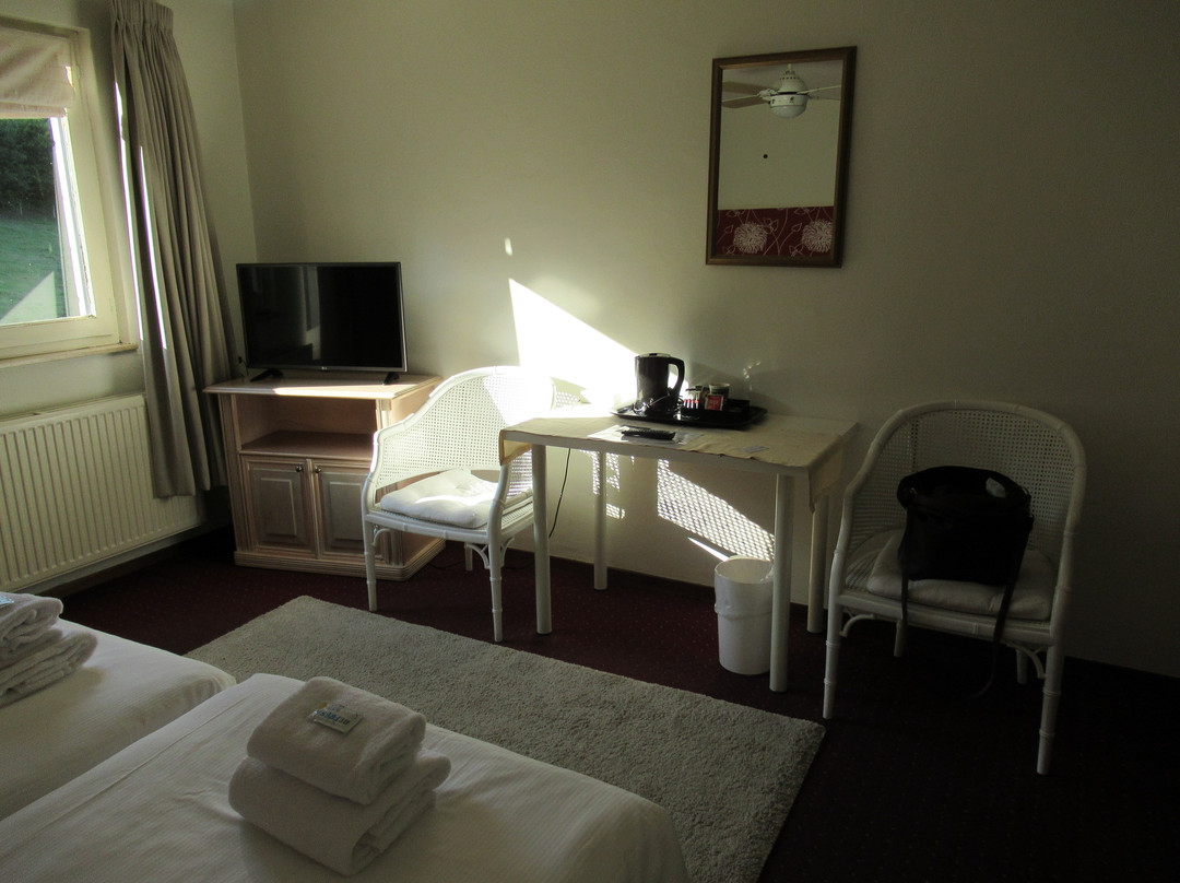 Hotel Lamerichs主图