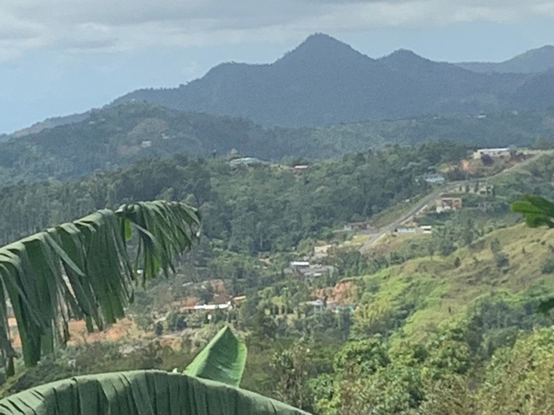 Hacienda De Café Pomarrosa-庞塞必去景点