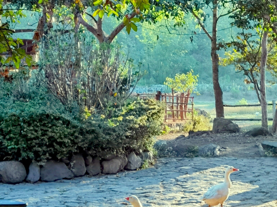Rancho El Reencuentro景点图片