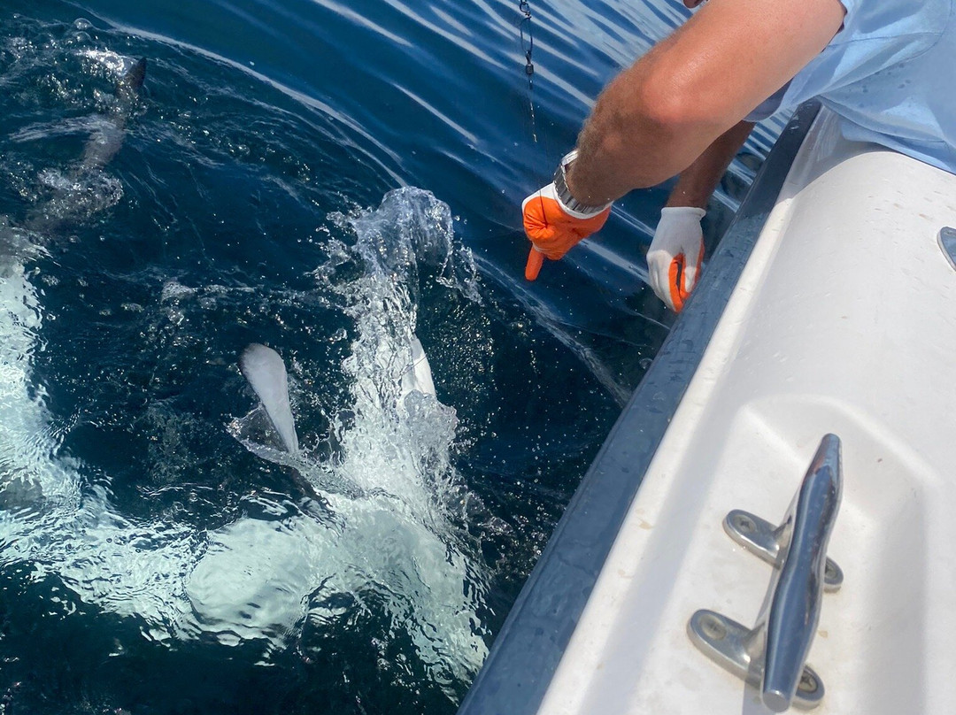 Reel Salty Charters-旧奥查德比奇必去景点