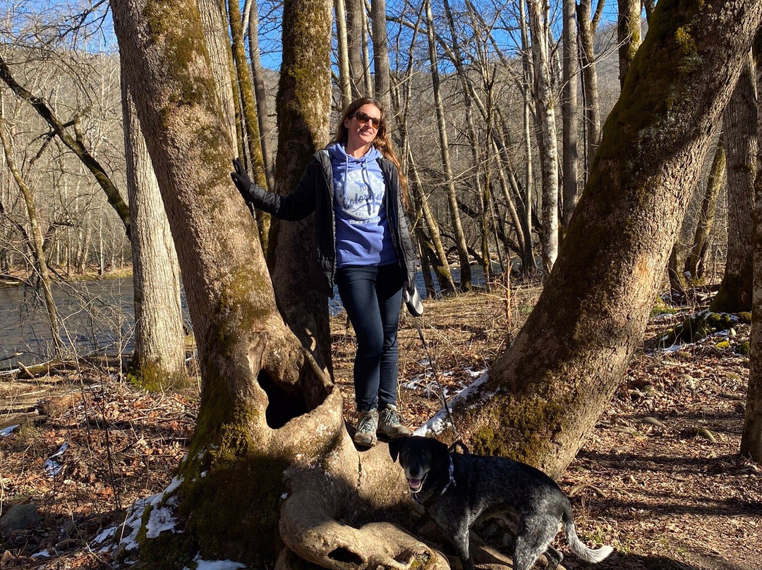 Oconaluftee River Trail景点图片