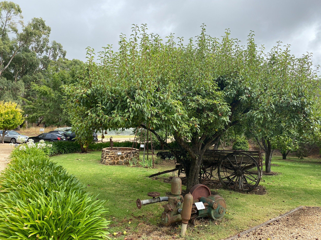 Langmeil Winery景点图片