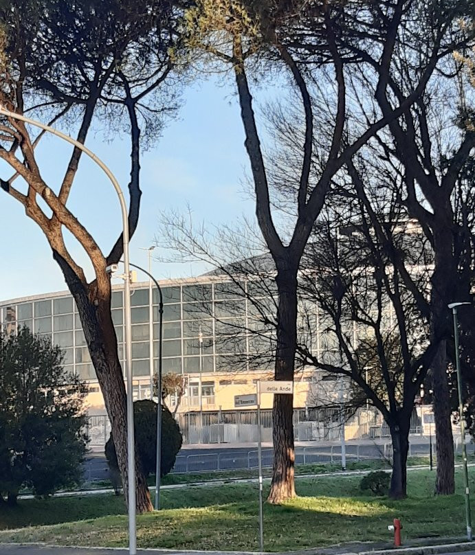 Palazzo dello Sport景点图片