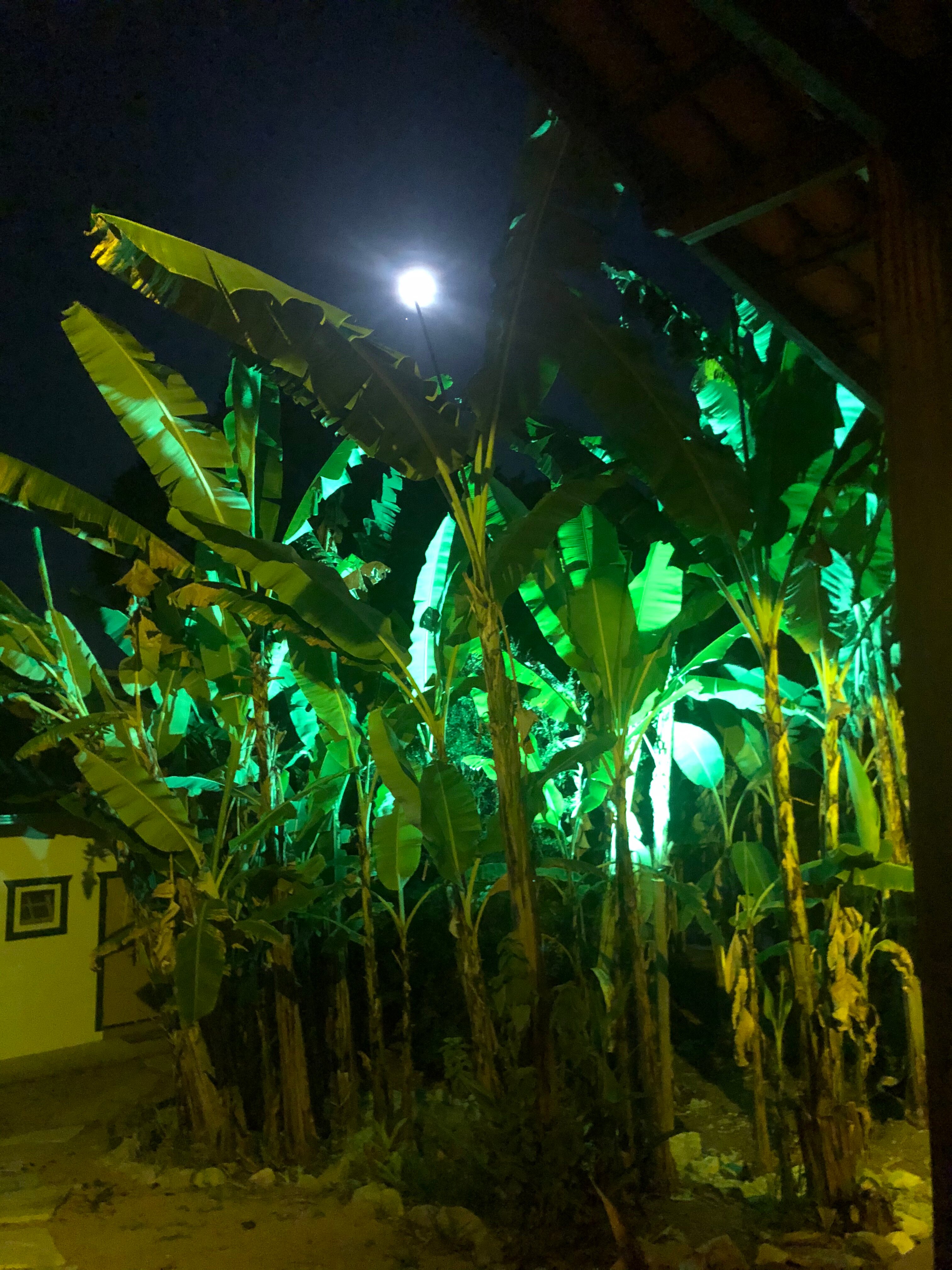 Vila Glaura-portrait