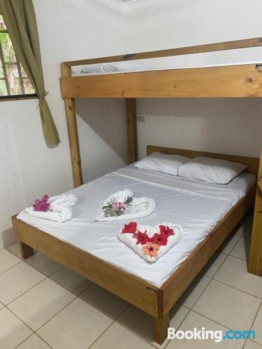 Corcovado Foundation BioHostel