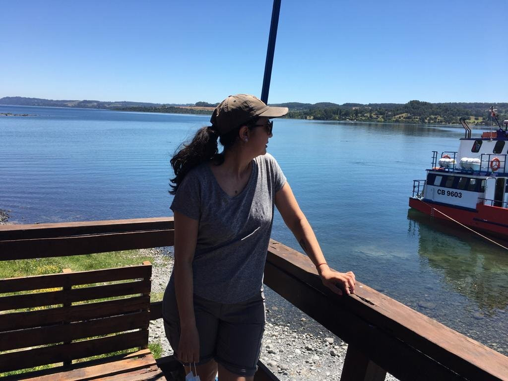 Hostal Puerto Futrono主图