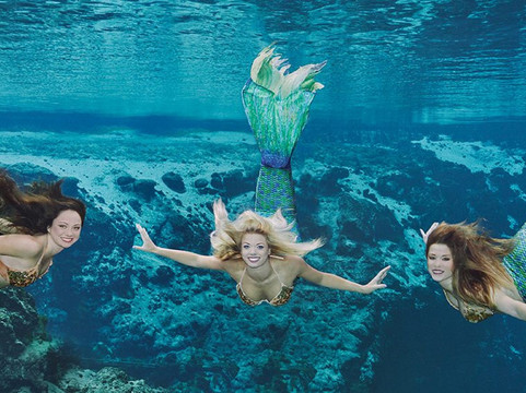 智选假日套房酒店-特里尼蒂主图