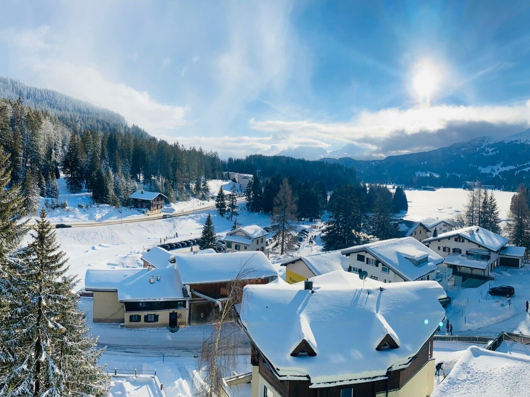 Hotel Waldhaus am See主图
