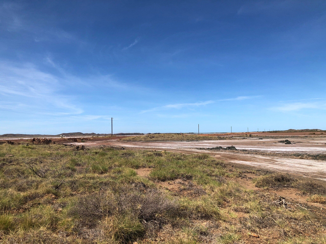 Red Dog Memorial-Cossack必去景点