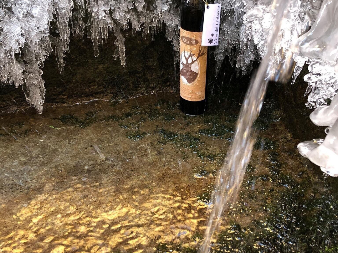 Casa Ronsil Wine-Chiomonte必去景点