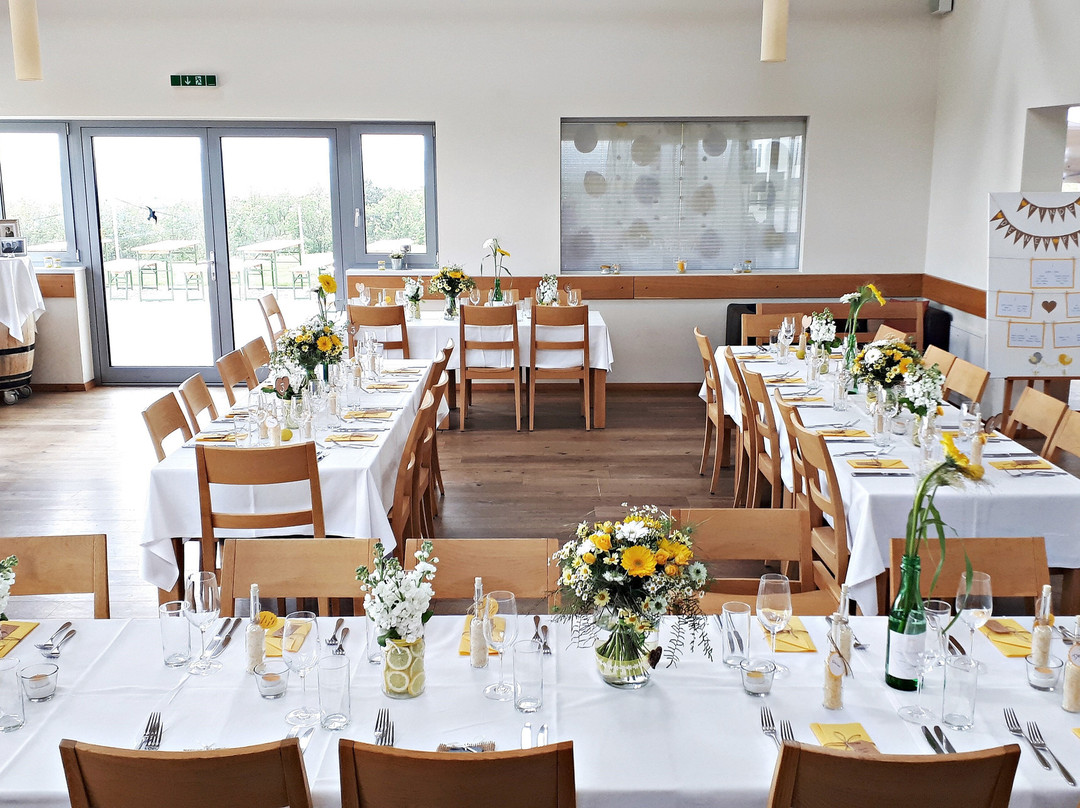 Weinblick Weingut Grafinger主图