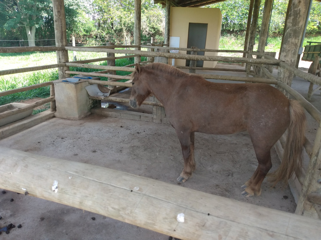 Ramada by Wyndham Furnaspark主图