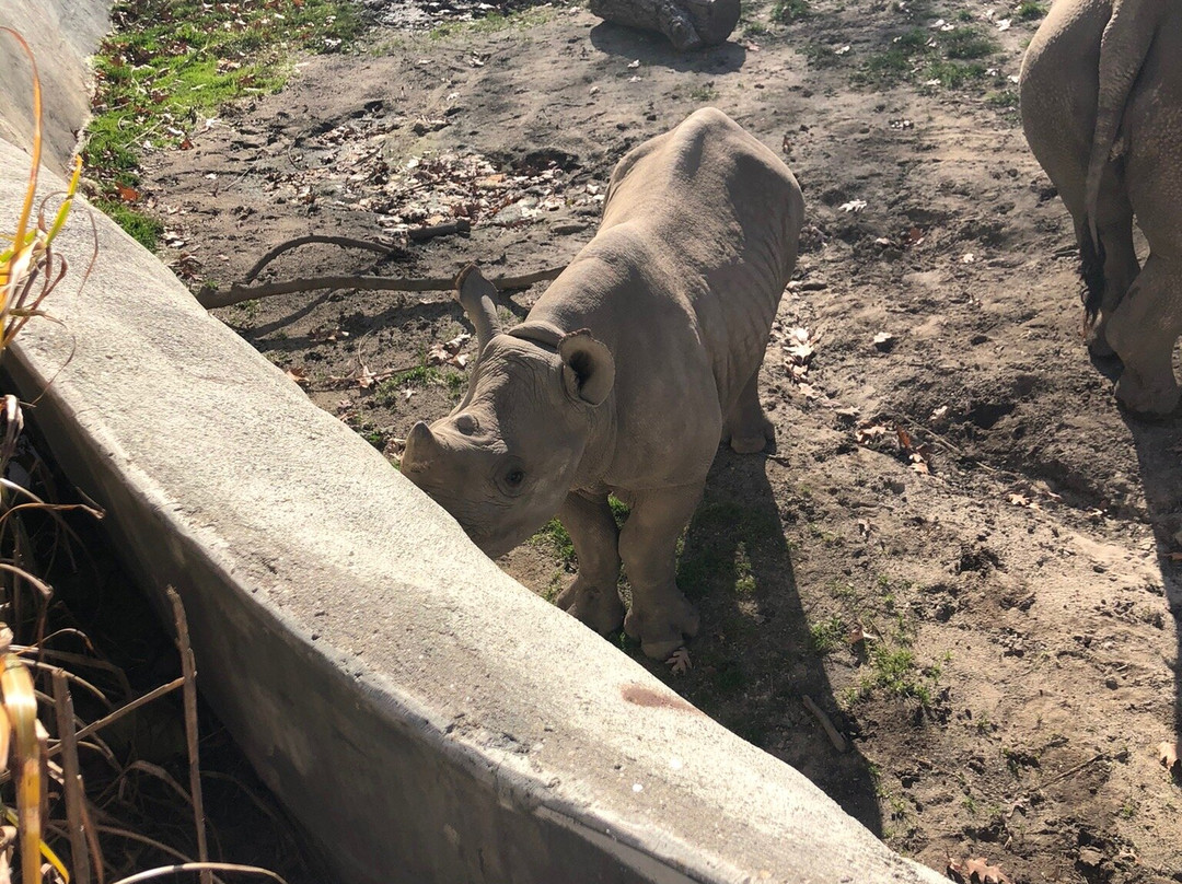 Potter Park Zoo-兰辛必去景点
