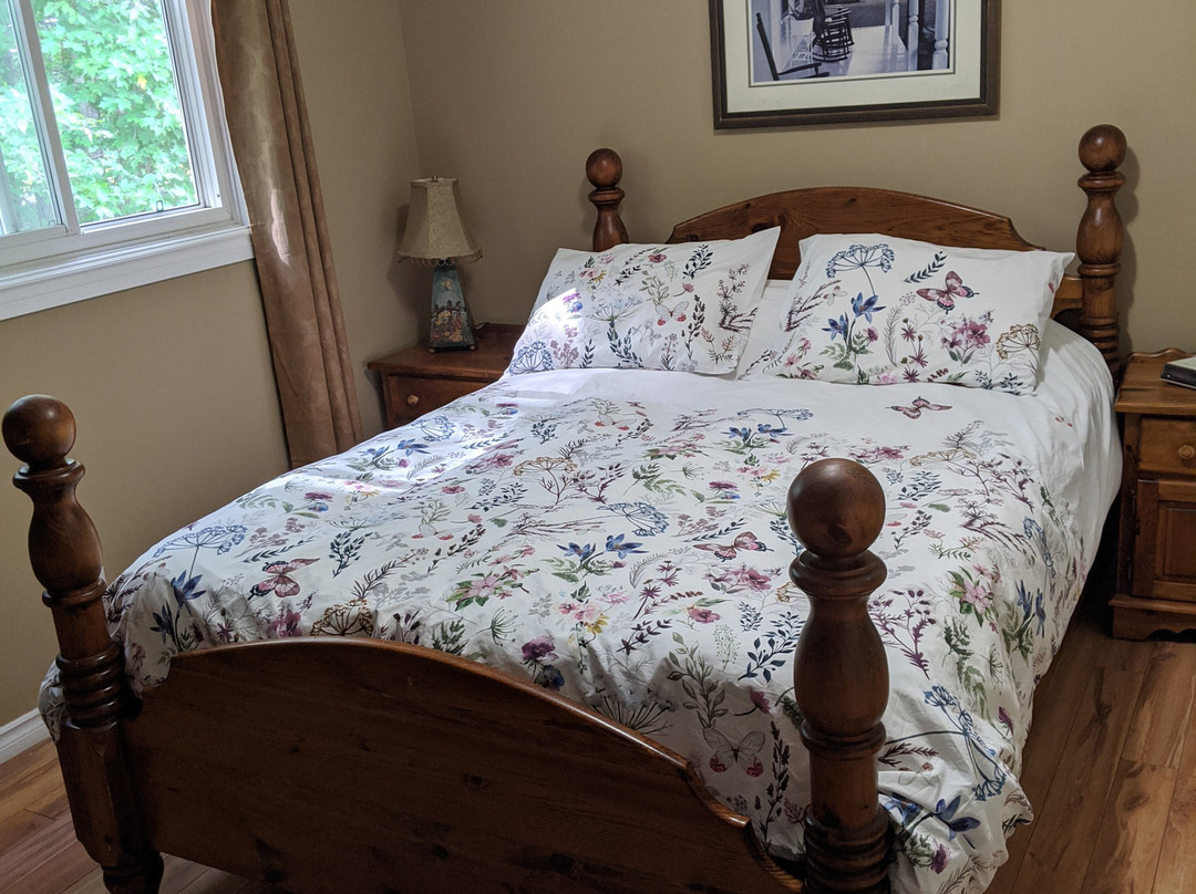 Bear & Butterfly Bed and Breakfast主图