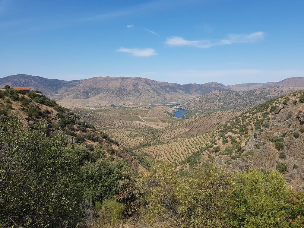 Miradouro Natural do Alto da Sapinha-Figueira de Castelo Rodrigo必去景点