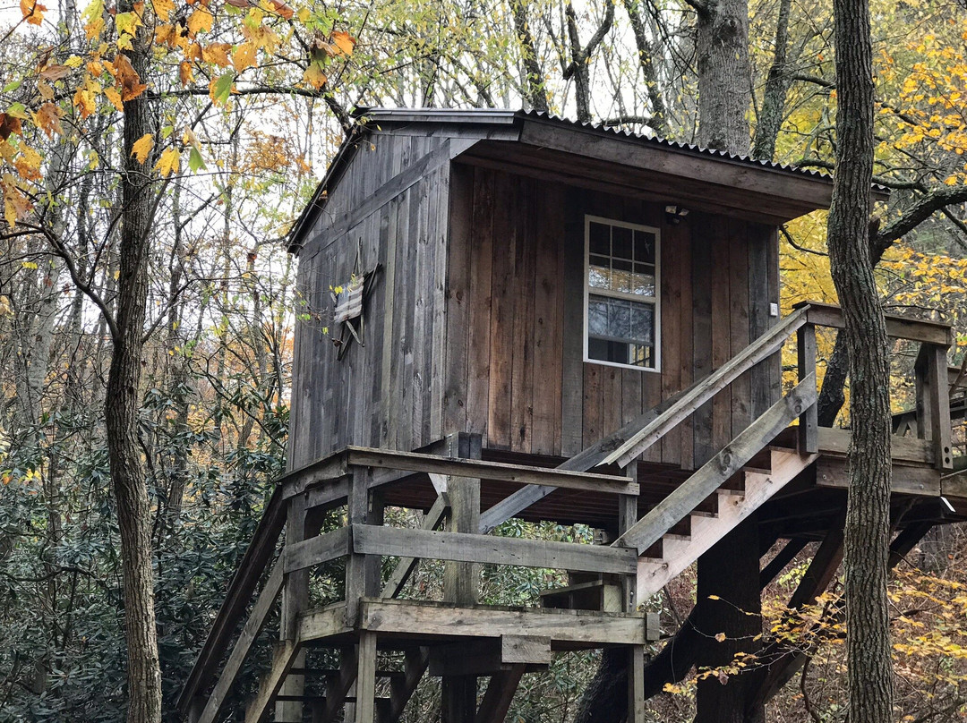 Mountain Harbour Bed and Breakfast主图