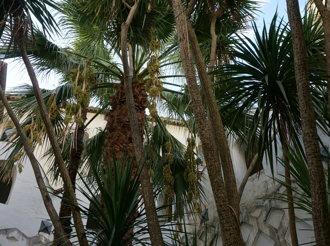 Chiostro del Paradiso景点图片