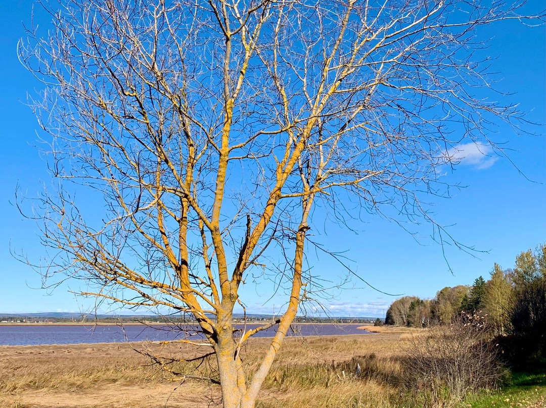 Cobequid Trail景点图片