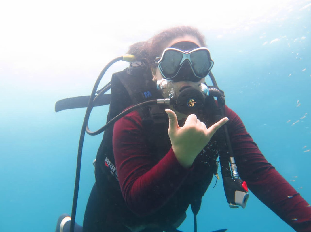 Maumere Dive Journey-Maumere必去景点