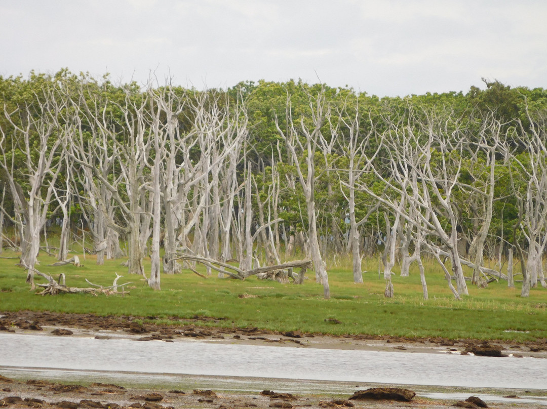 Narawara-别海町必去景点