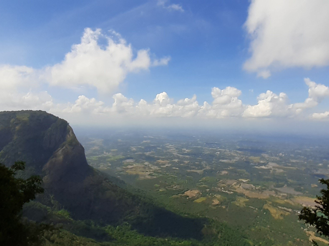 Nelliyampathy Hills-Palakkad必去景点