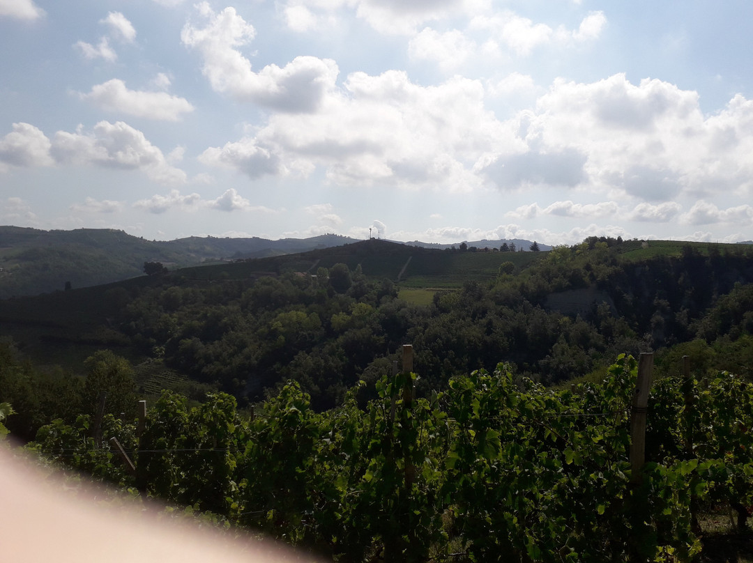 Strada Romantica delle Langhe e del Roero景点图片