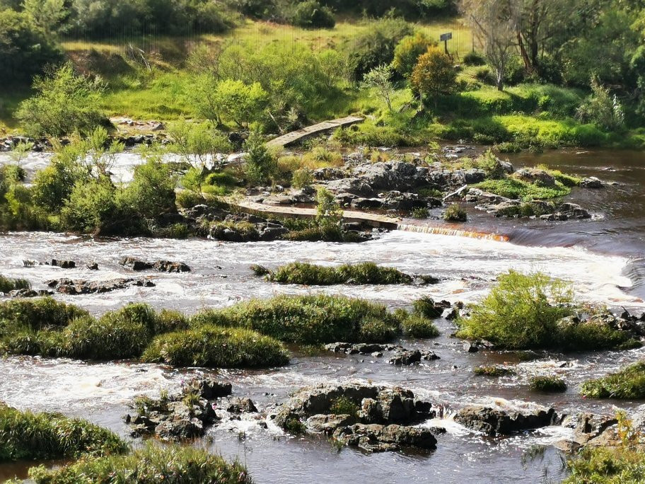 Bontebok National Park-斯韦伦丹必去景点
