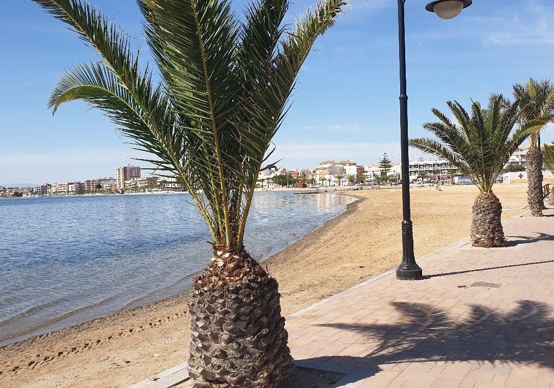 Playa de Villananitos-San Pedro del Pinatar必去景点