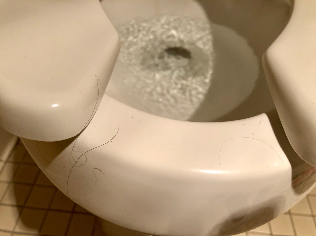 贝斯特韦斯特国王旅馆和套房酒店主图