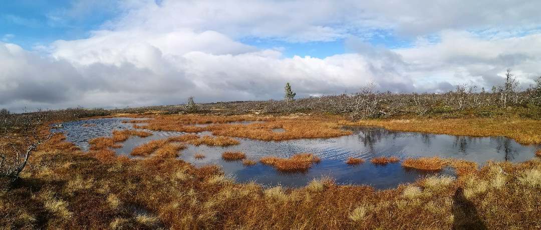 Fulufjällets National Park-Sarna必去景点