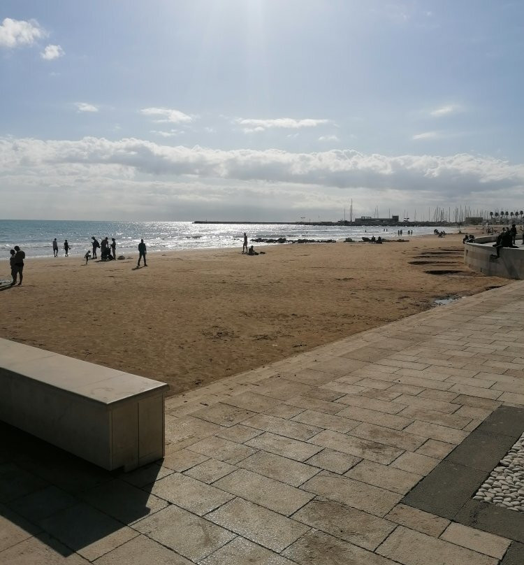 Lungomare Andrea Doria e Bisani景点图片