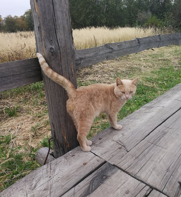 Typographic Bridge-Kirzhach必去景点