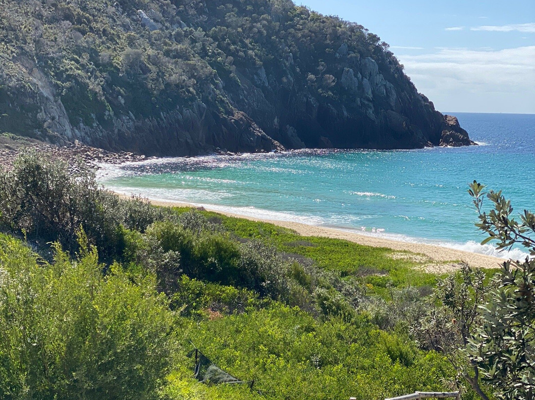 Zenith Beach景点图片