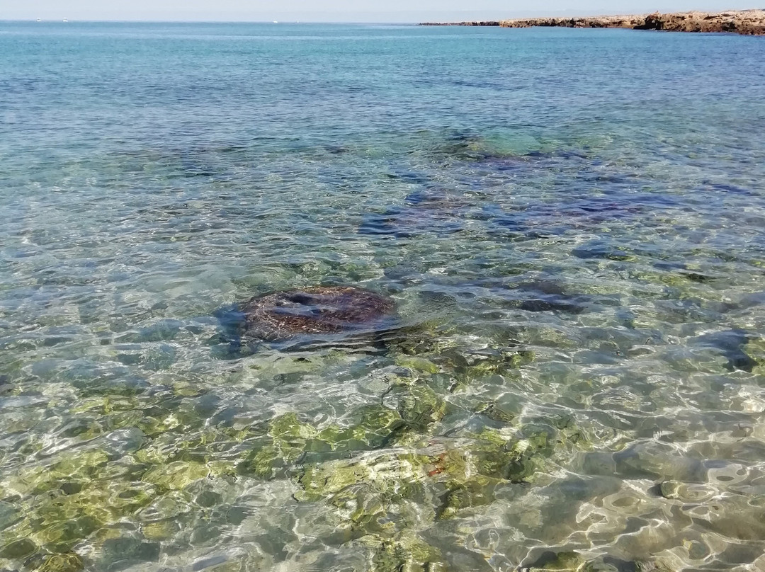 Spiaggia di Santa Margherita景点图片