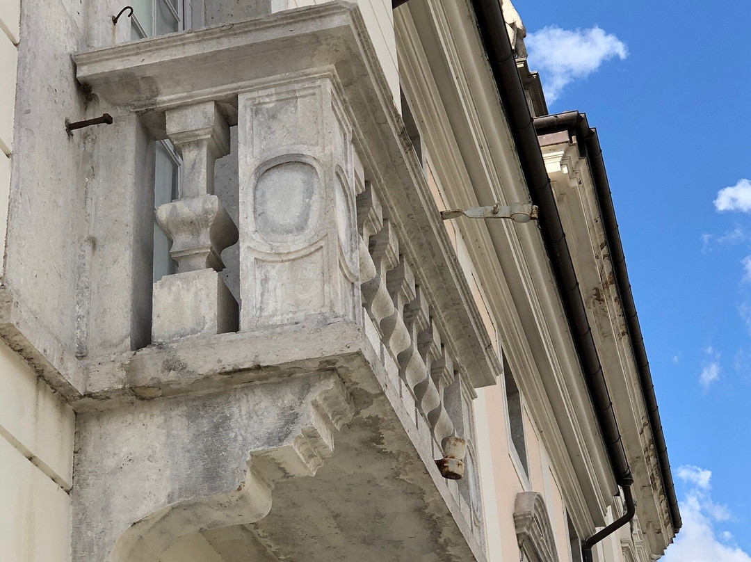 Palazzo Attems Petzenstein景点图片