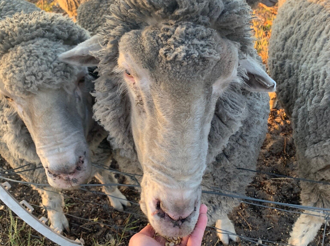Nambung Station Stay主图