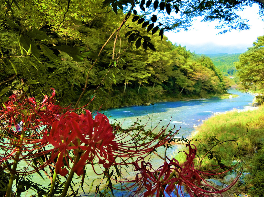 Mitake Valley-青梅市必去景点