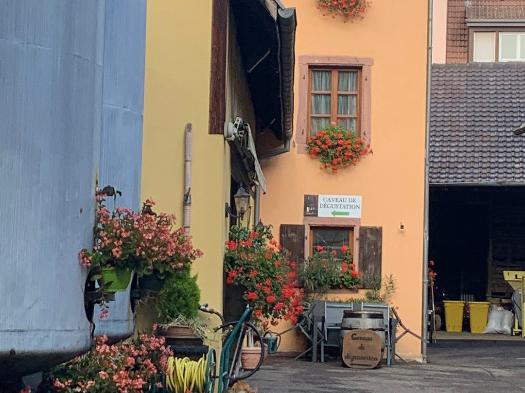 Domaine Karcher et Fils-科尔马必去景点