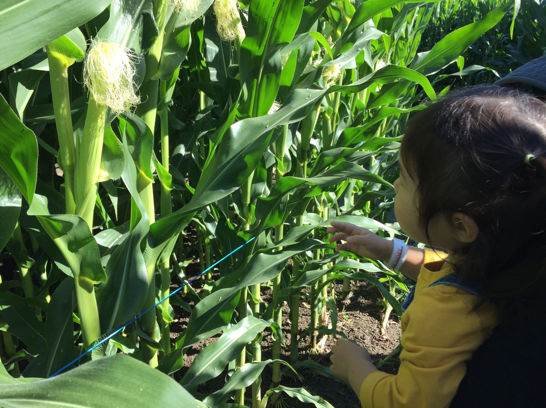 The Farm at Swan's Trail-Snohomish必去景点