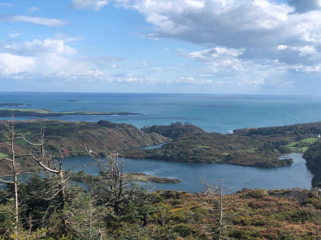 Lough Hyne-Skibbereen必去景点