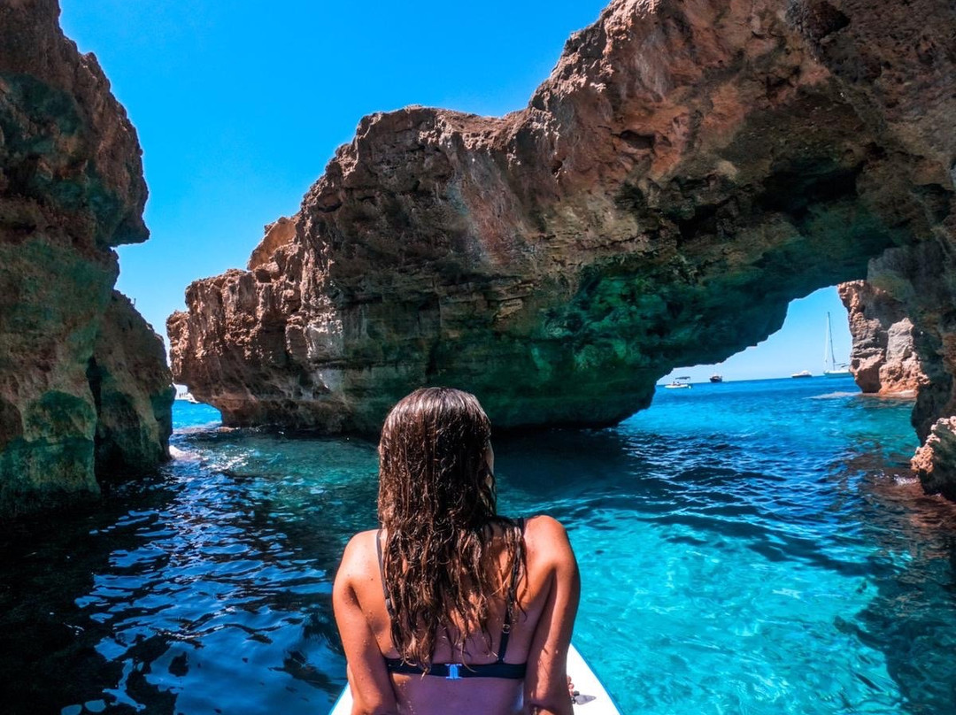 Flamingo Boat Charter ibiza景点图片