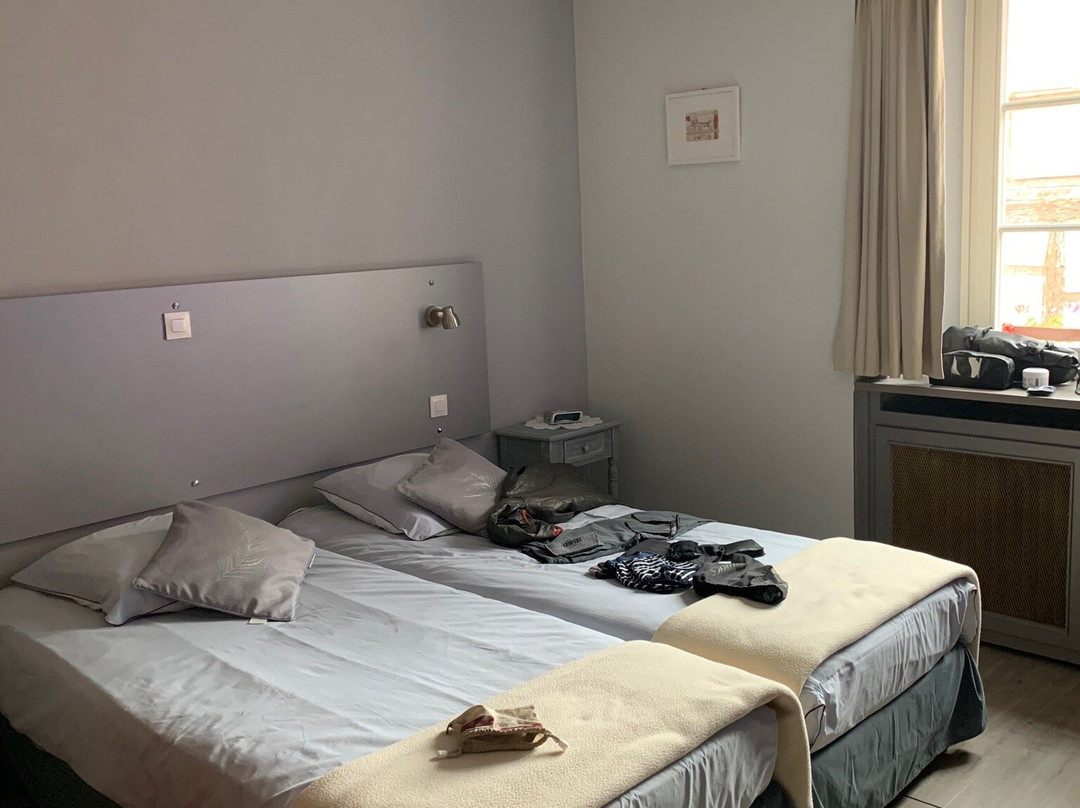 Logis Hotel  du Cygne主图