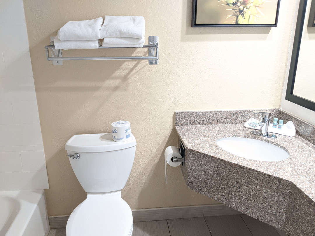 圣罗莎贝斯特韦斯特酒店主图