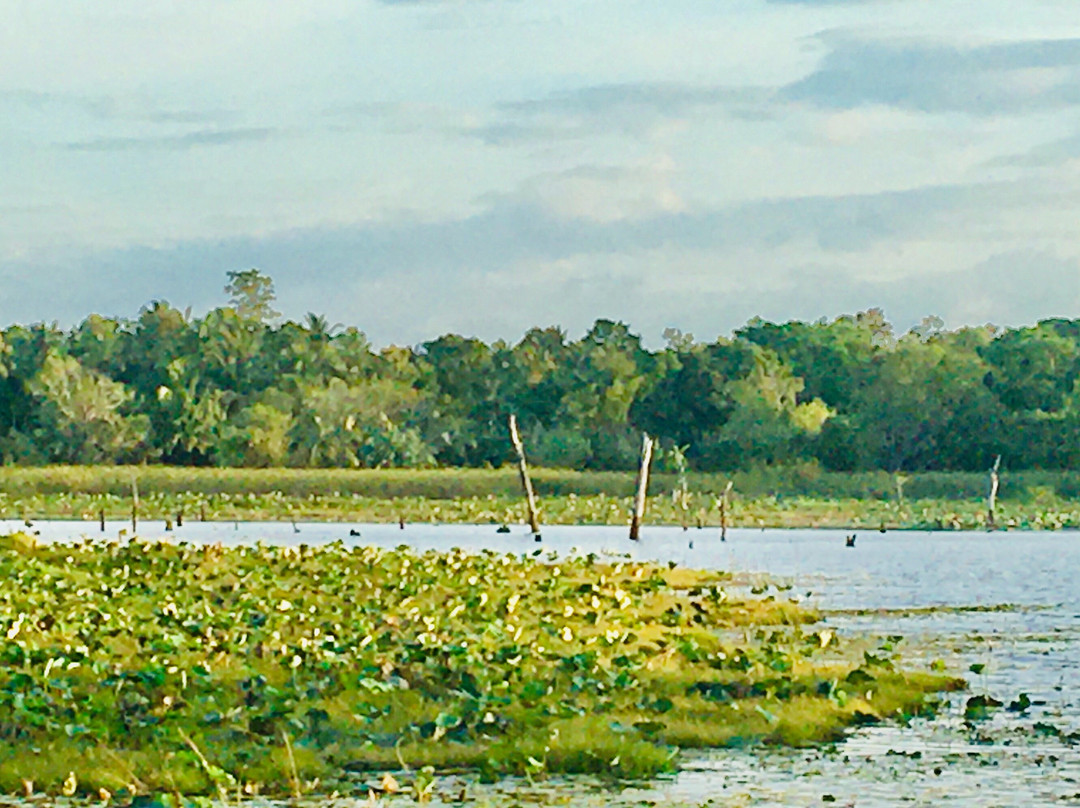 Sri Lanka Ocean Island tours-Kadawata必去景点