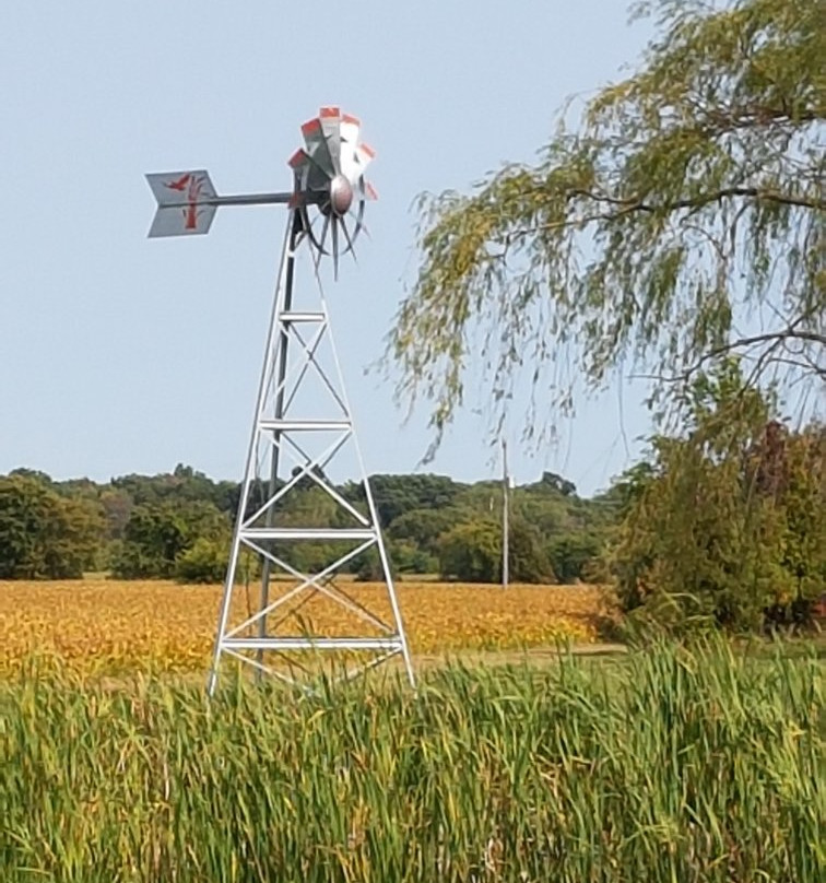 Cooper's Hawk Vineyards-Harrow必去景点