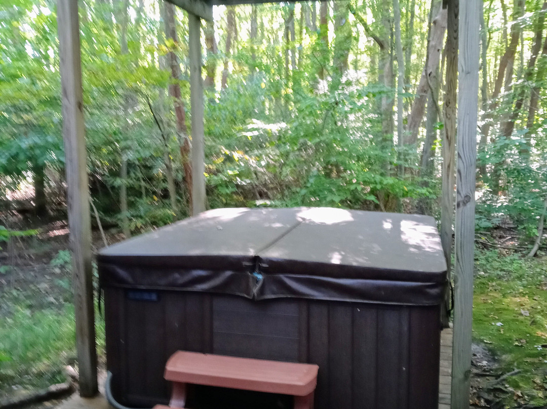 The White Rabbit Inn B&B主图