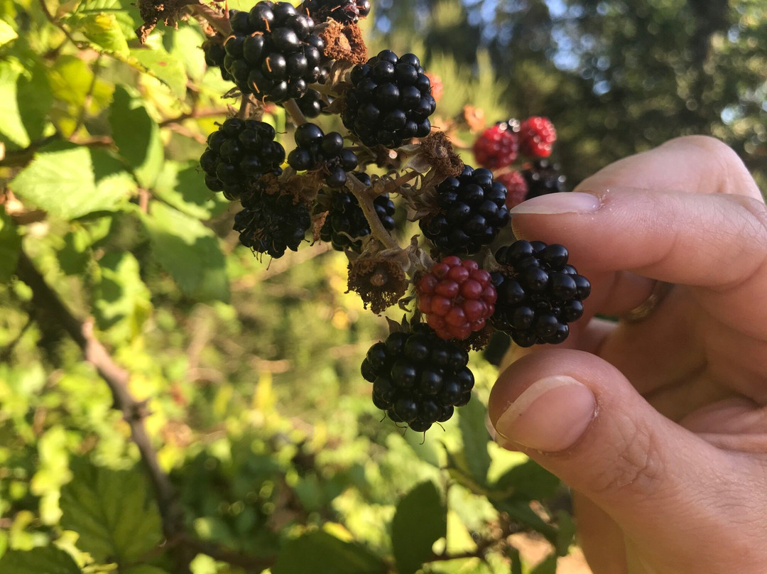 Il Podere La Casina主图