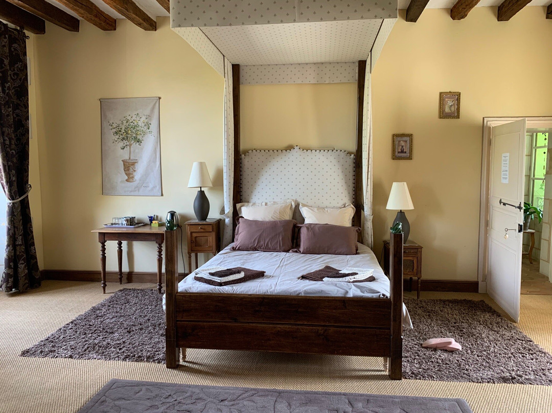 青蛙王子酒店主图